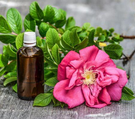 Aumenta l'immunità con l'uso di oli essenziali e aromaterapia