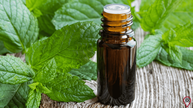 Essential oils for winter