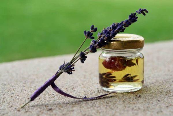 Aceites Esenciales — ¡Descubre el Poder de la Aromaterapia!