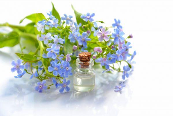 Aceites Esenciales — ¡Descubre el Poder de la Aromaterapia!