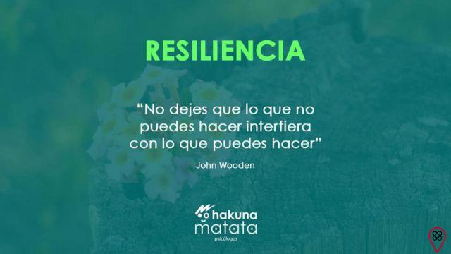 Cosa significa resilienza?