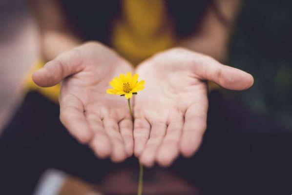 11 modi per coltivare la gratitudine