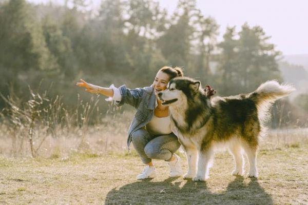 10 Things My Dog Taught Me