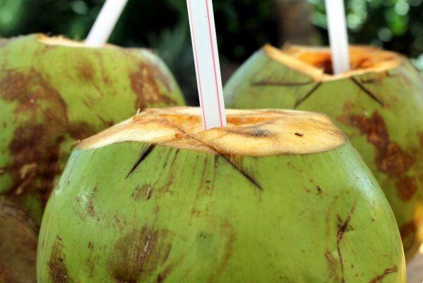Acqua di cocco: benefici e ricette