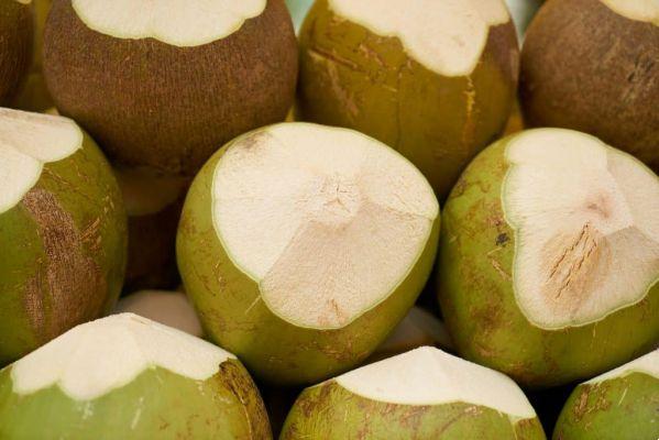 Coconut water: benefits and recipes