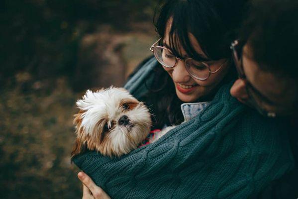 How to deal with grief after the loss of a pet?