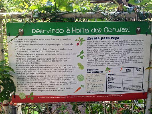 Community Gardens in São Paulo: green amid the asphalt