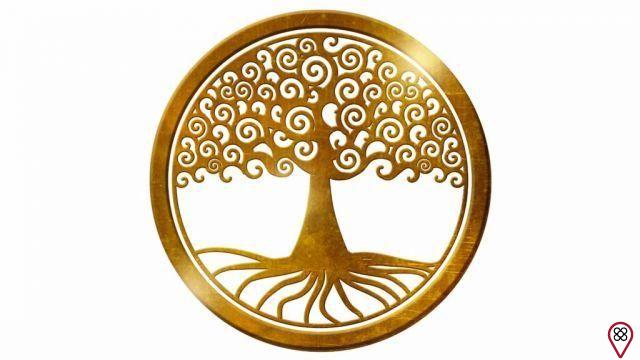 Albero della vita: significato e uso di questo simbolo spirituale