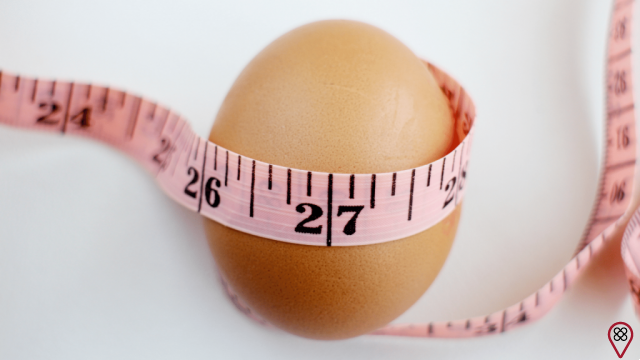 Egg Diet. Discover and see how