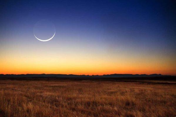 New Moon in Taurus 2020: strength and determination to move forward