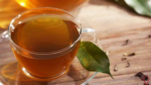 Le migliori ricette di tè ayurvediche fatte in casa per disintossicare il corpo