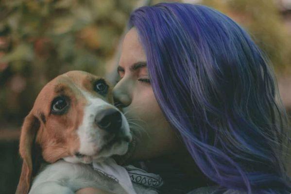 5 reasons to make your life more Zen through pets