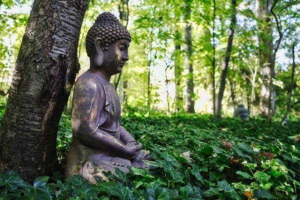 Buddhism: positive energy and generosity