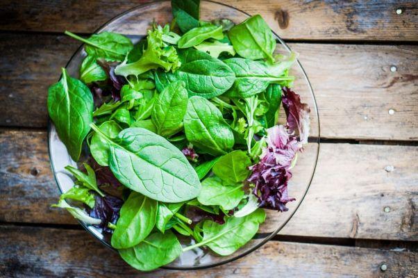 Consuming lettuce salad before meals is a great tactic to maintain weight.