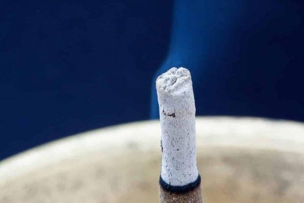 Everything you need to know about Palo Santo