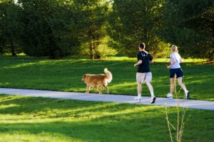 Tips for running with your dog